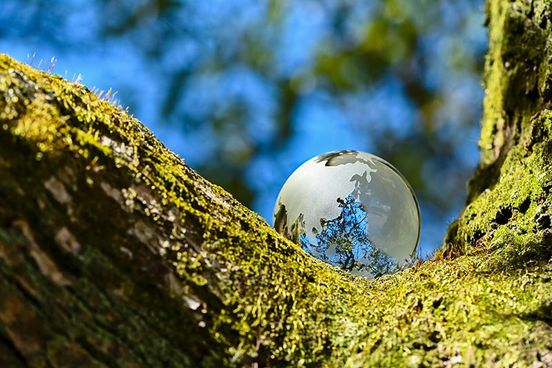 画像：会社概要